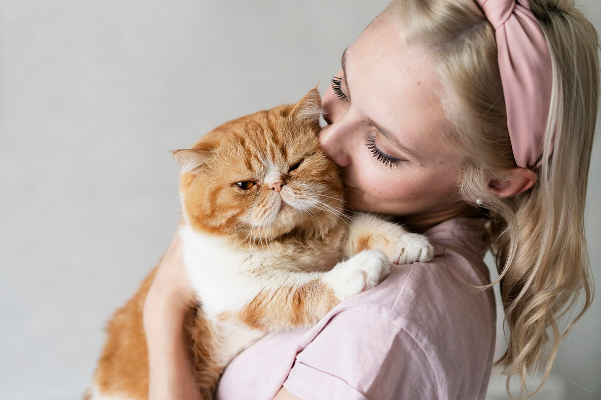 12 Best Tips How To Keep Your Cat Healthy