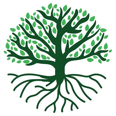 The Tree Of Life Symbol in Different Cultures