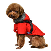 dog jackets for winter