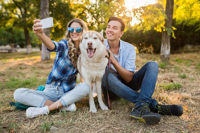 7 Fun Activities To Do With Your Pet This Weekend