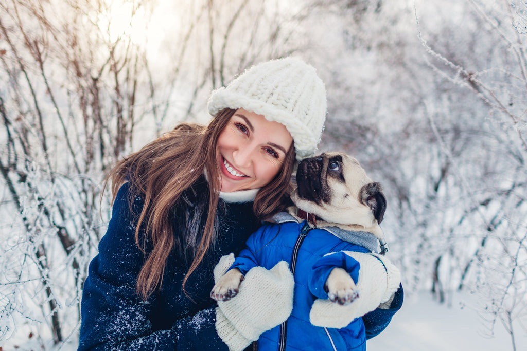 How To Take Care Of Our Pets During The Winter?