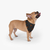 pumpkin dog bandana