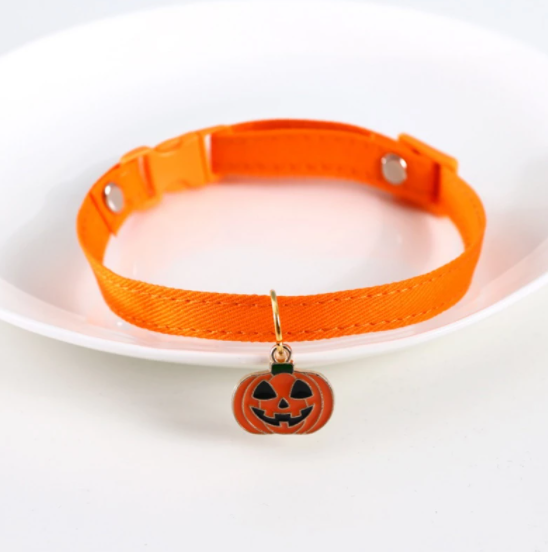 pumpkin cat collar