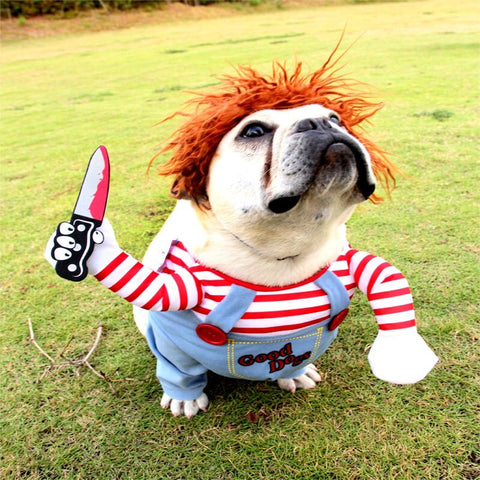 chucky costume dog