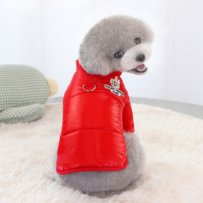 small dog coats for winter