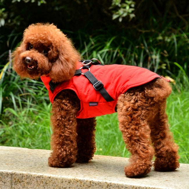 dog raincoat with harness opening