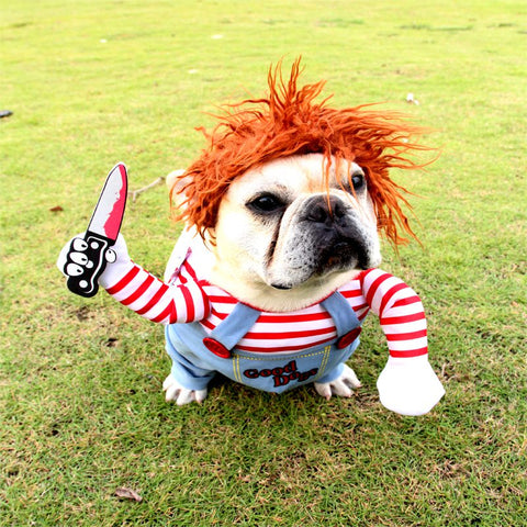 chucky doll dog costume
