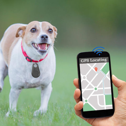 dog collar with gps for iphone