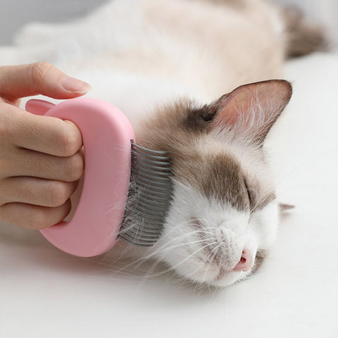 best cat comb