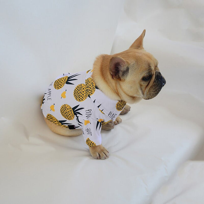 small dog shirts