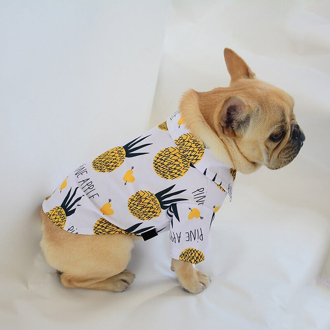 dog shirts for dogs