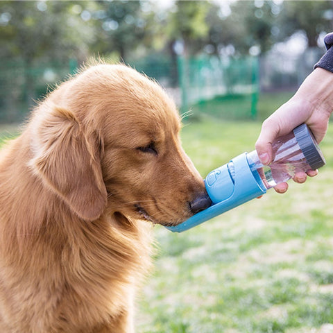 pet water bottle