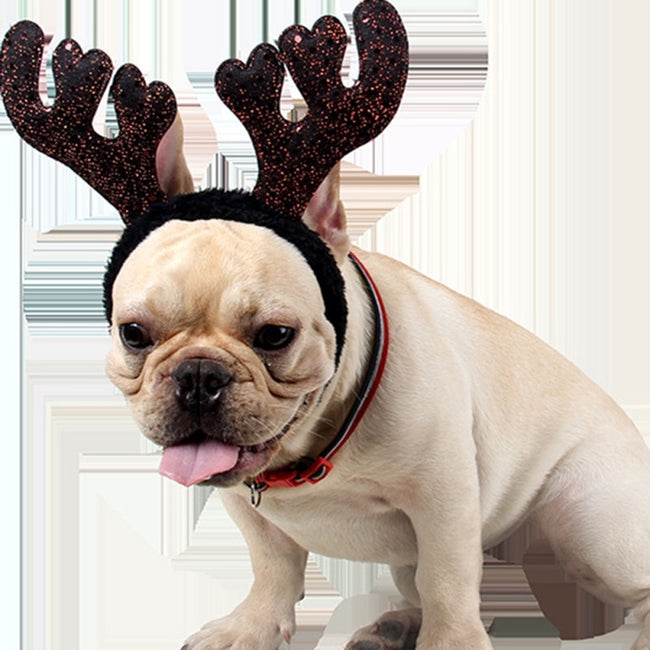 dog reindeer headband