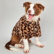 cheetah print dog sweater