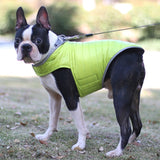 dog coat with harness