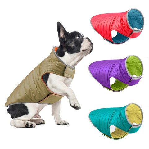harness jacket for dogs
