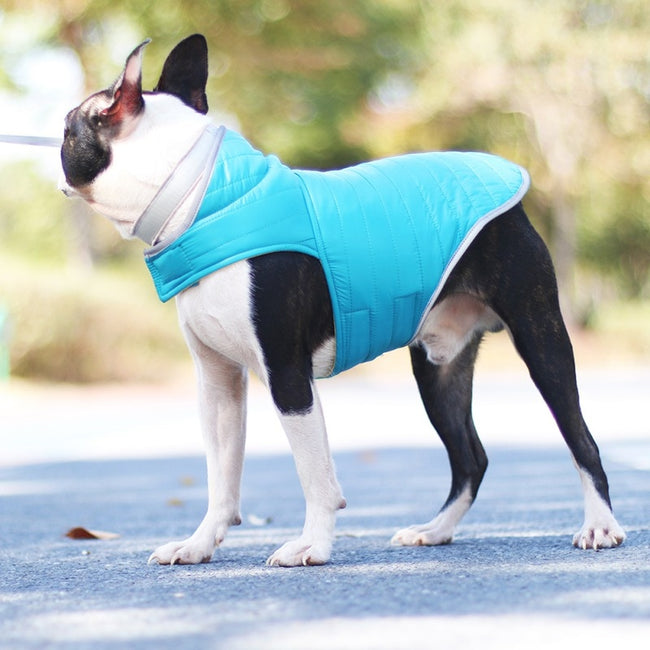 puppy vest
