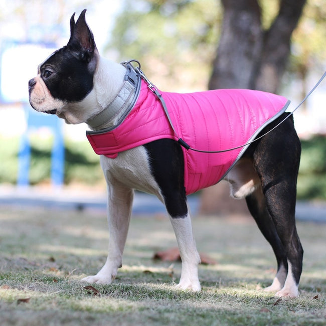 puppy vest harness